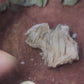 Barite specimen