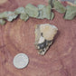 Barite cerrusite and galena specimen