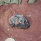 Barite cerrusite and galena specimen