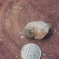 Barite cerrusite and galena specimen