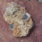Barite cerrusite and gelina specimen